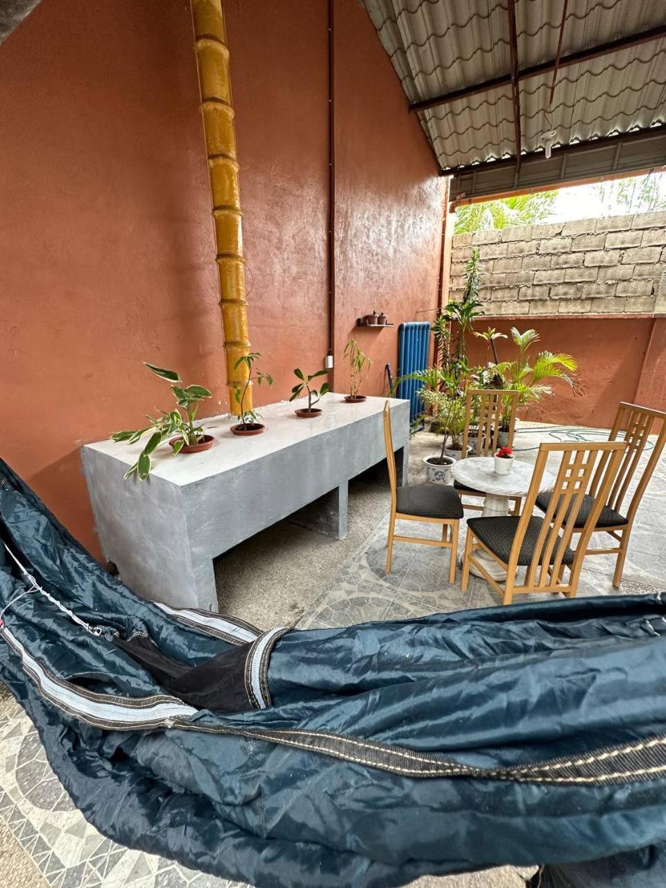 Vitaminsea Room Dauin Extérieur photo