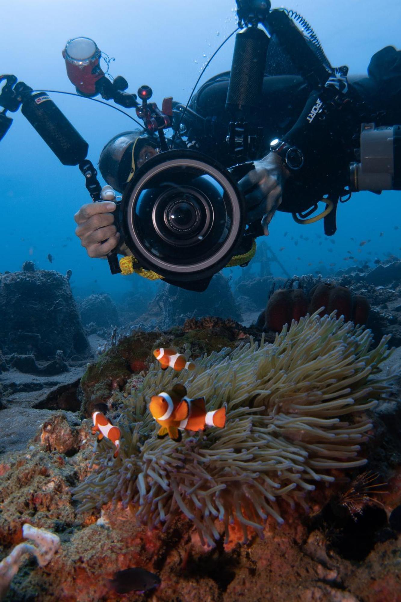Vitaminsea Room Dauin Extérieur photo