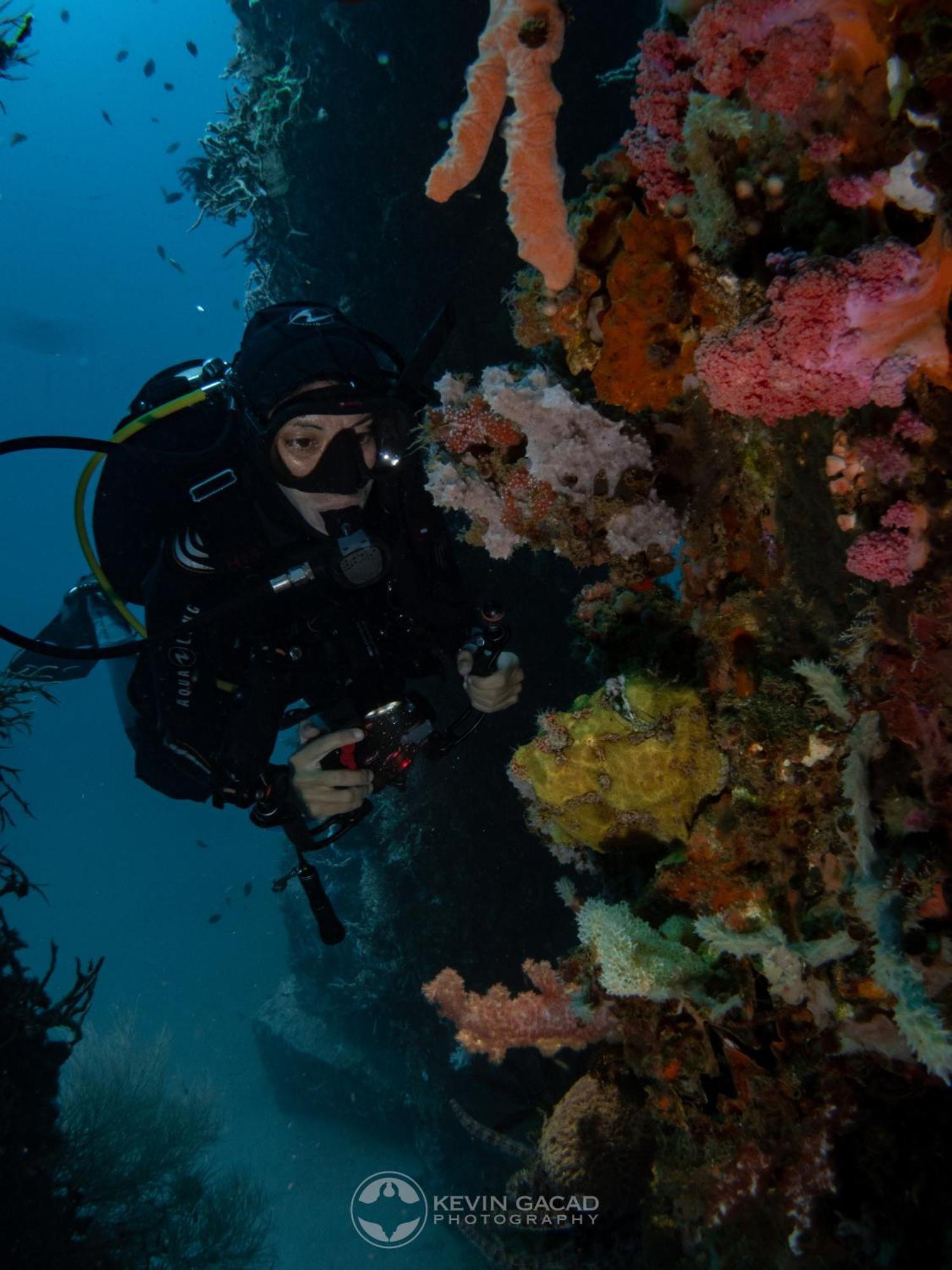 Vitaminsea Room Dauin Extérieur photo